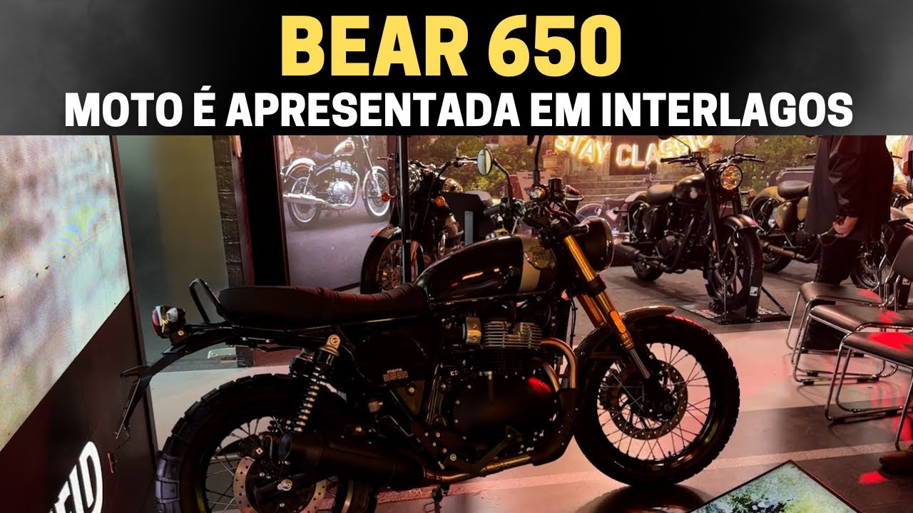 Bear 650 todos os DETALHES