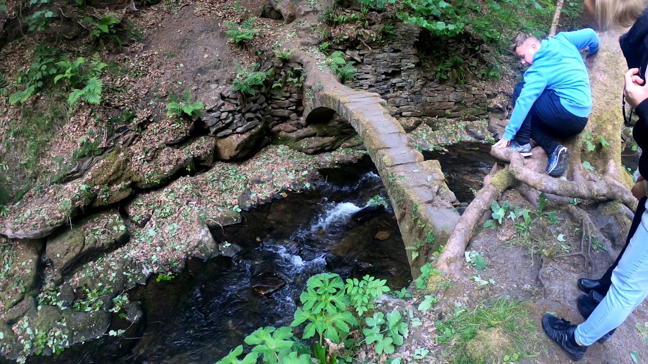 Healey dell