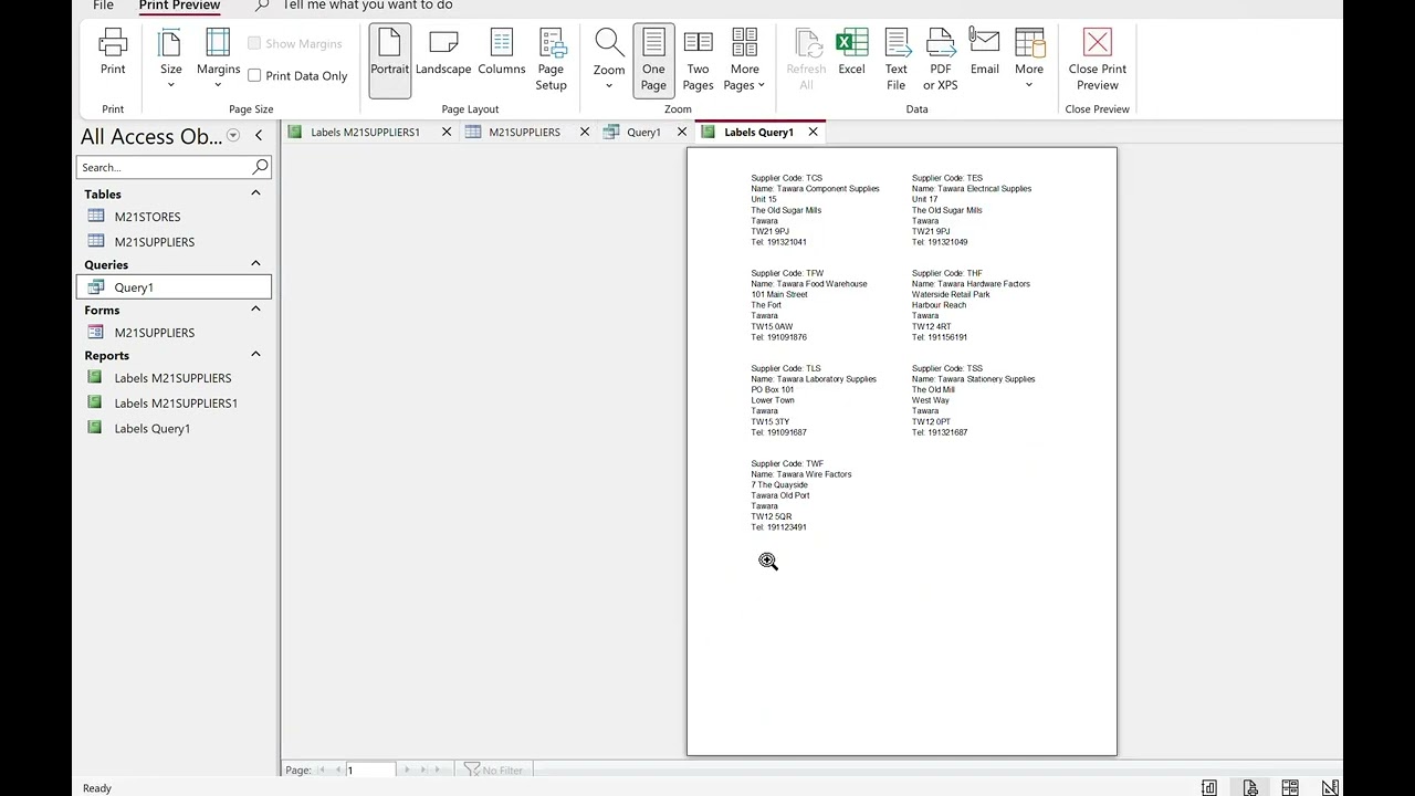 IGCSE ICT 0417, Paper 2 Labels in Access