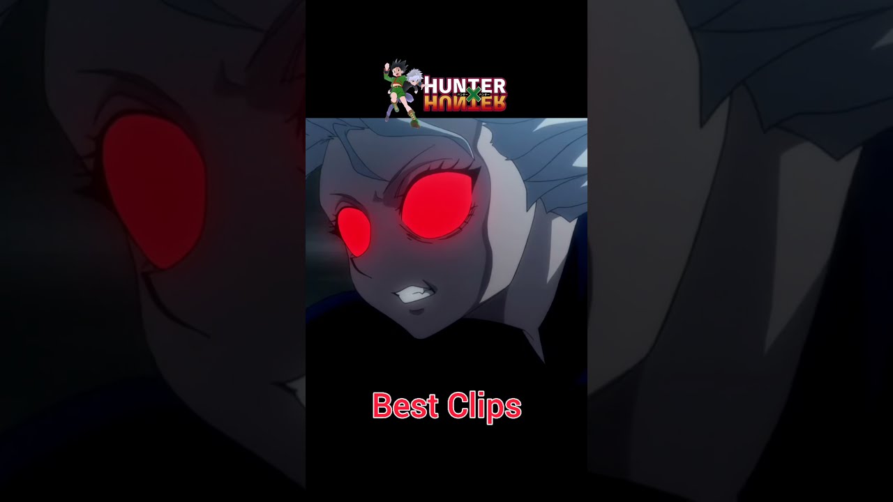 Hunter x Hunter Best Clips In English 