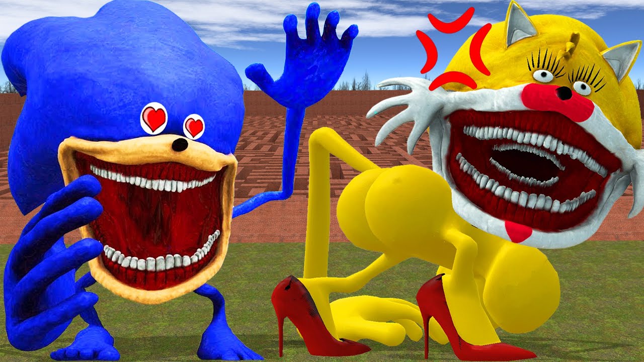 SHIN SONIC TAPES Love Story Goes Wrong Against TAIL SONIC XXL TAPES in Garry’s Mod!