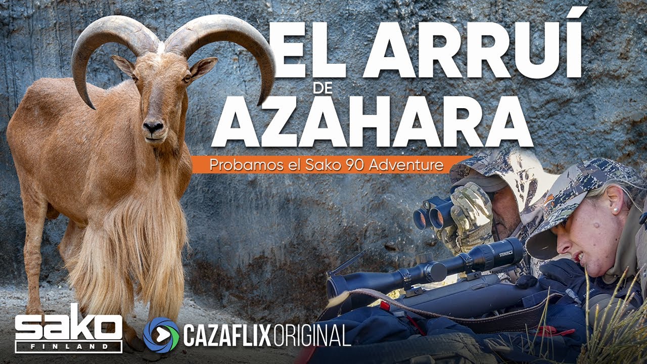 CAZA DE ARRU&Iacute; A RECECHO CON AZAHARA 🐐| Probamos el rifle SAKO 90 ADVENTURE