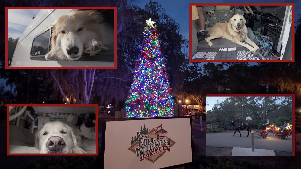 Irma's Christmas Vacation: A Disney Fort Wilderness Adventure!!!
