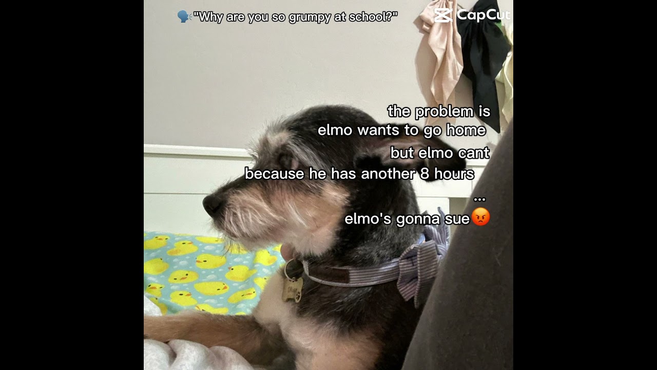 #elmo