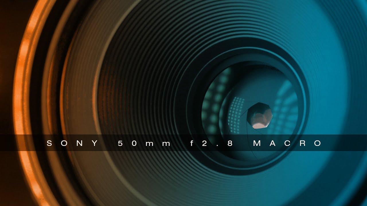 Sony FE 50mm f2.8 MACRO | AMAZING little lens!