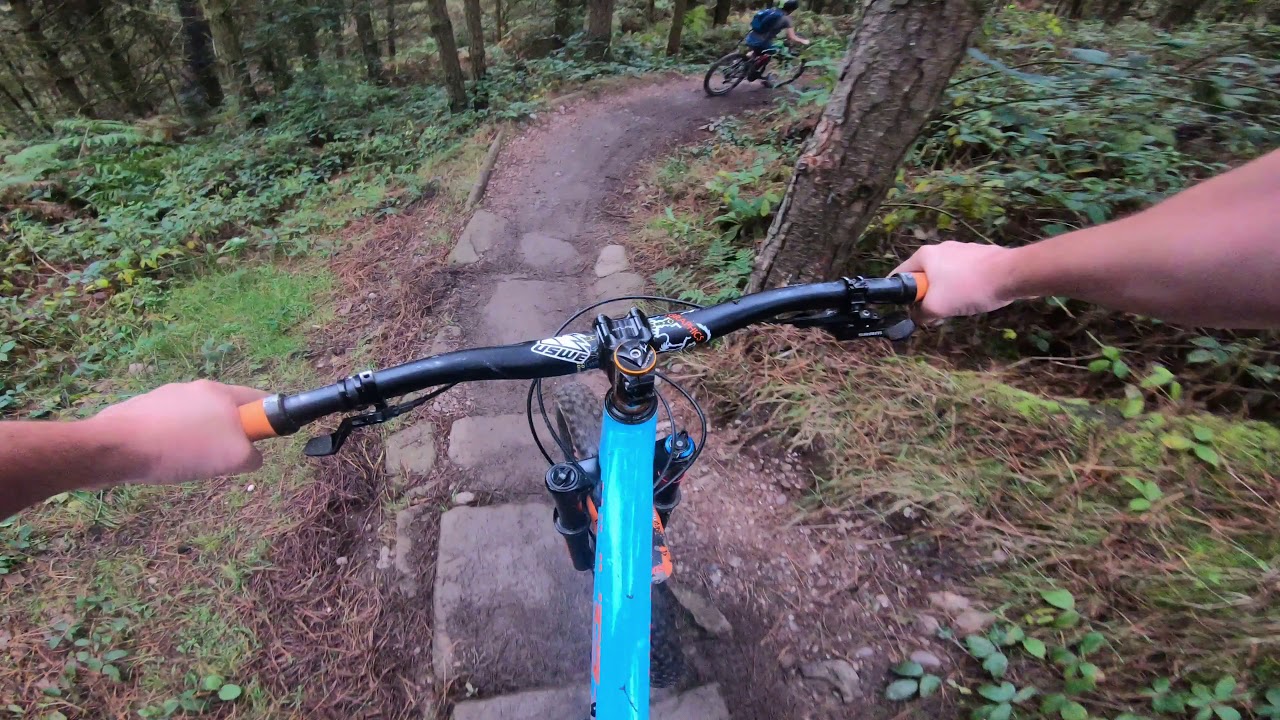 The Monkey trail, Cannock Chase