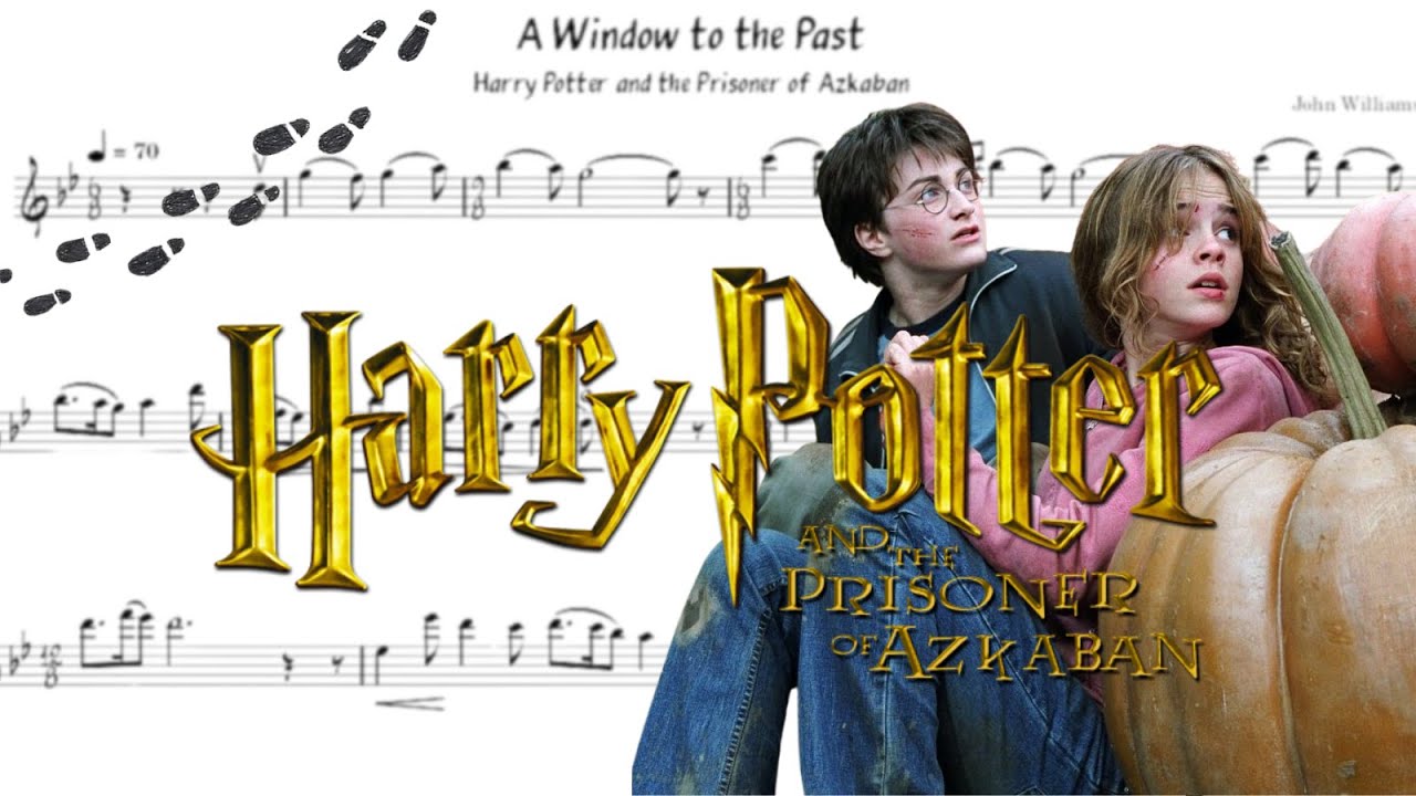 A Window to the Past from Harry Potter | Flute