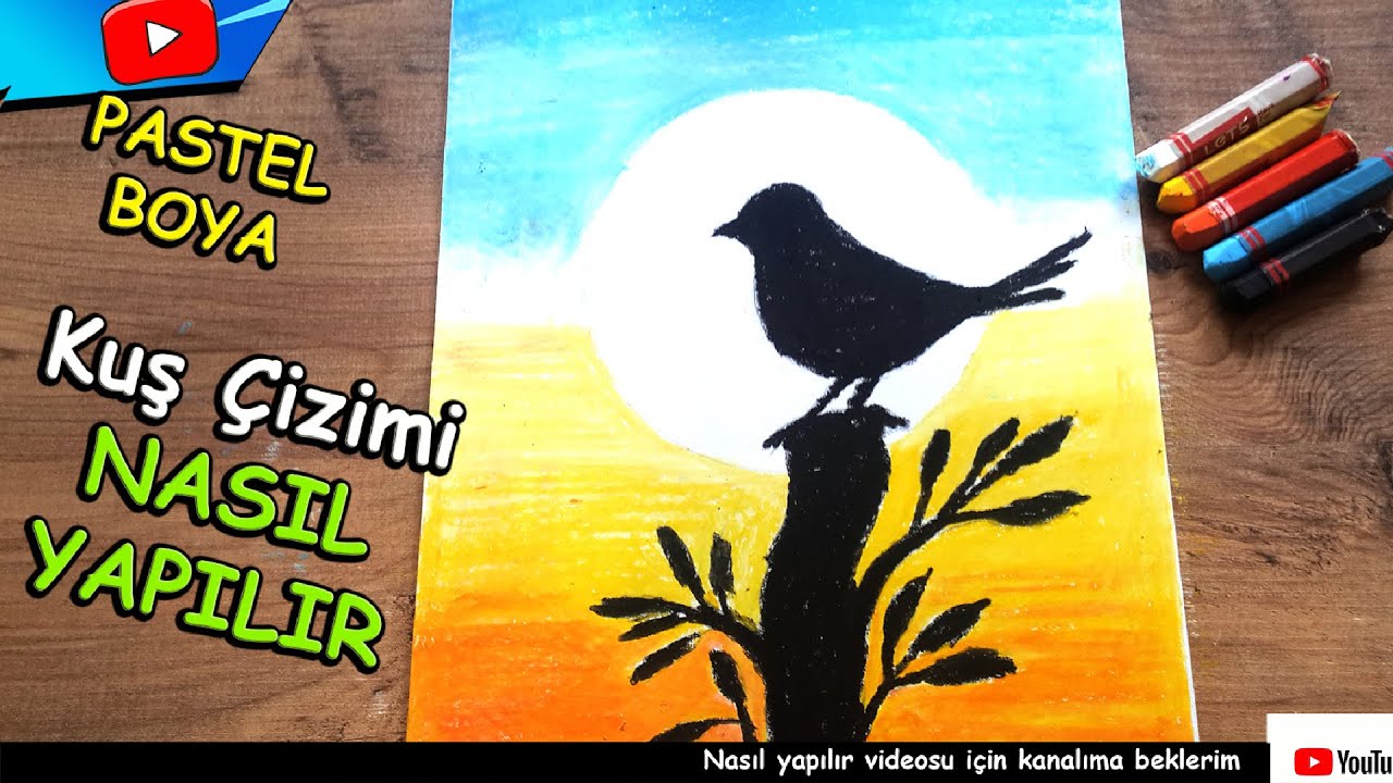 PASTEL BOYA KUŞ ÇİZİMİ