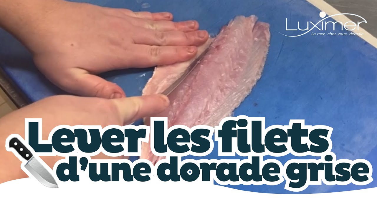 COMMENT LEVER LES FILETS D&rsquo;UNE DORADE GRISE ? | Tuto facile by Luximer
