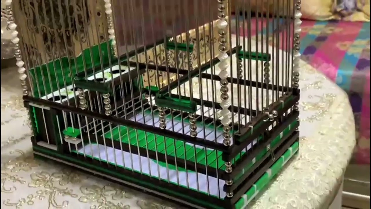 #اقفاص_خشبية_صنع_يدوي  قفص ملكي لطائر انيق