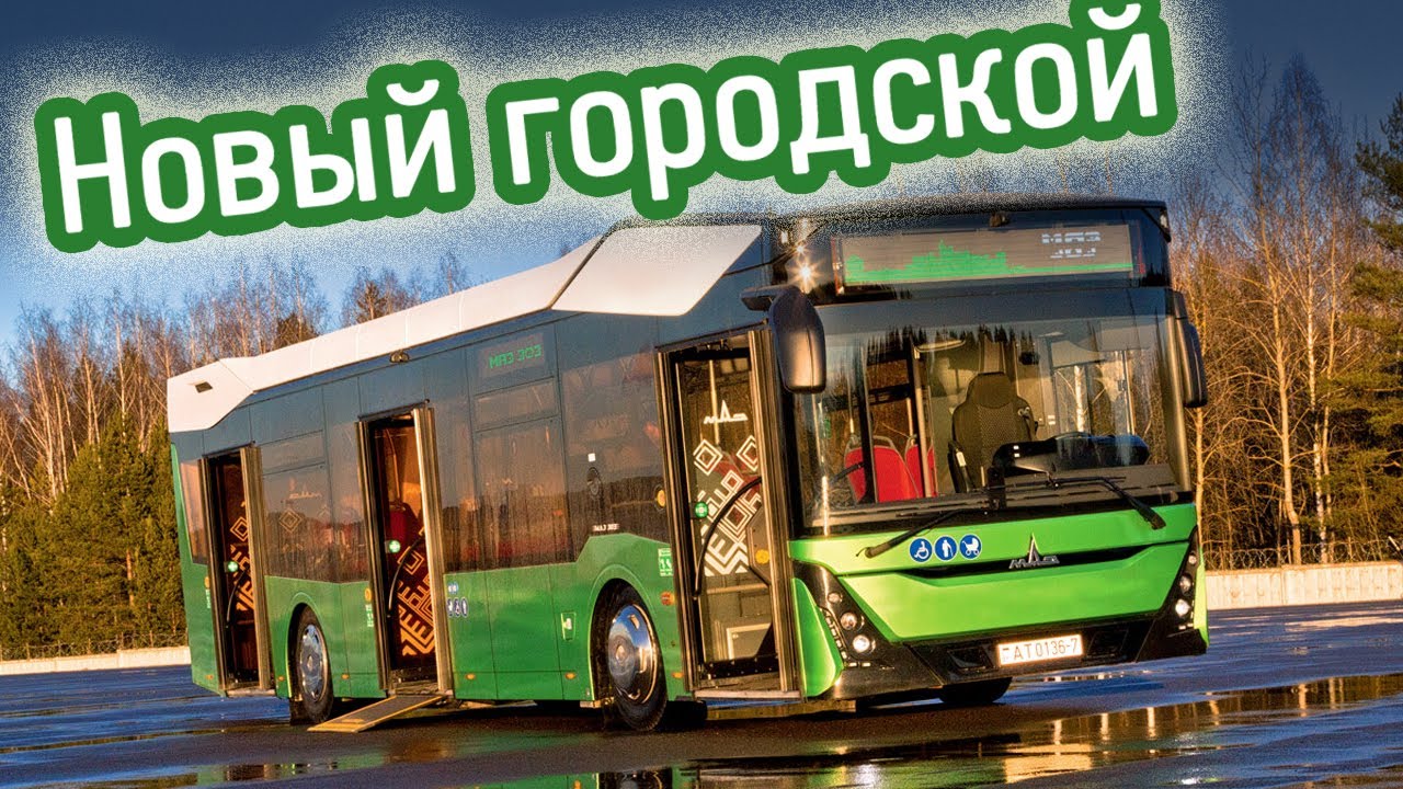 Горб зубра: знакомимся с автобусом МАЗ-303