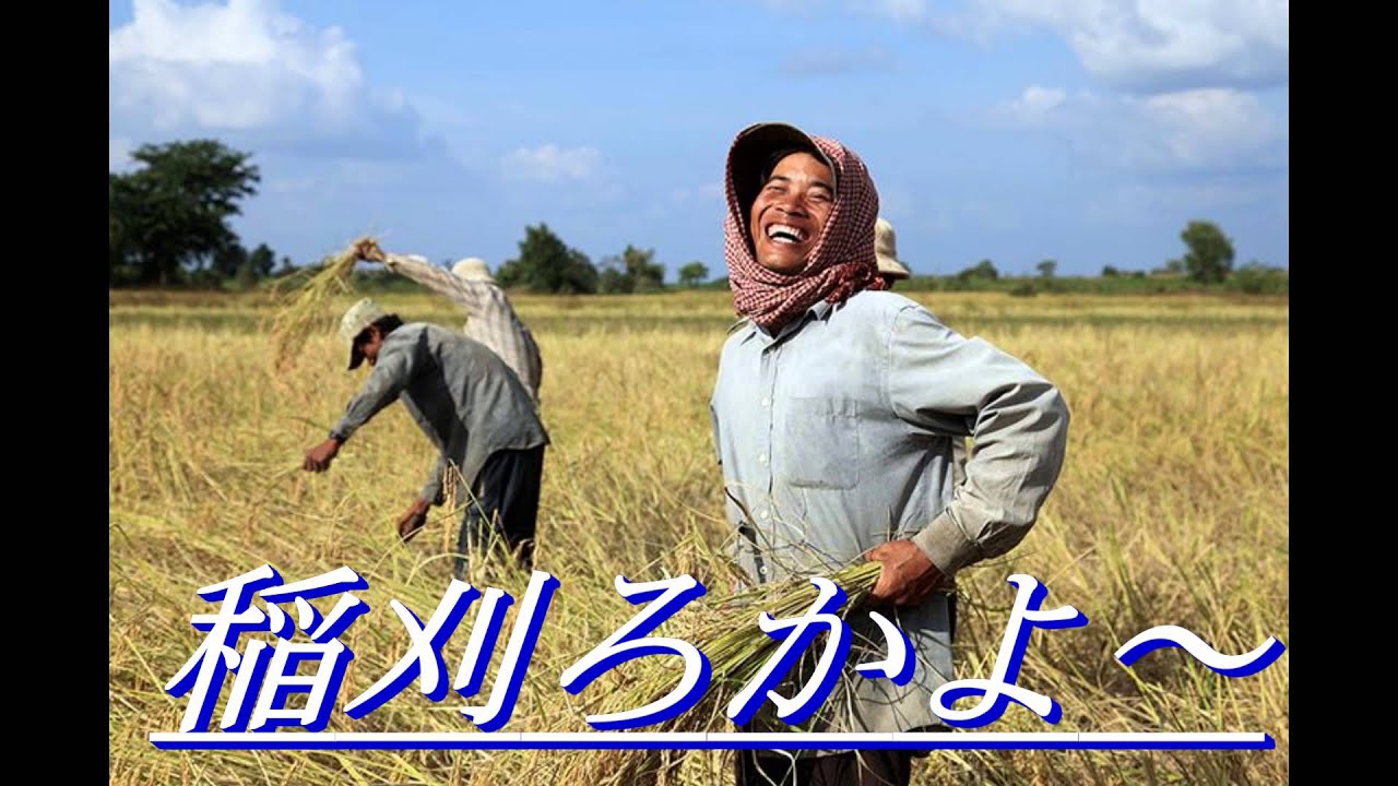 6 刈干切歌