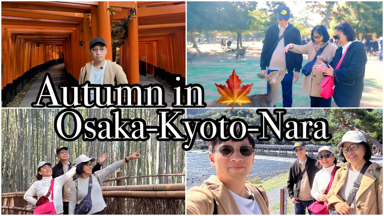 Autumn in Osaka-Kyoto-Nara | Japan Vlog 16