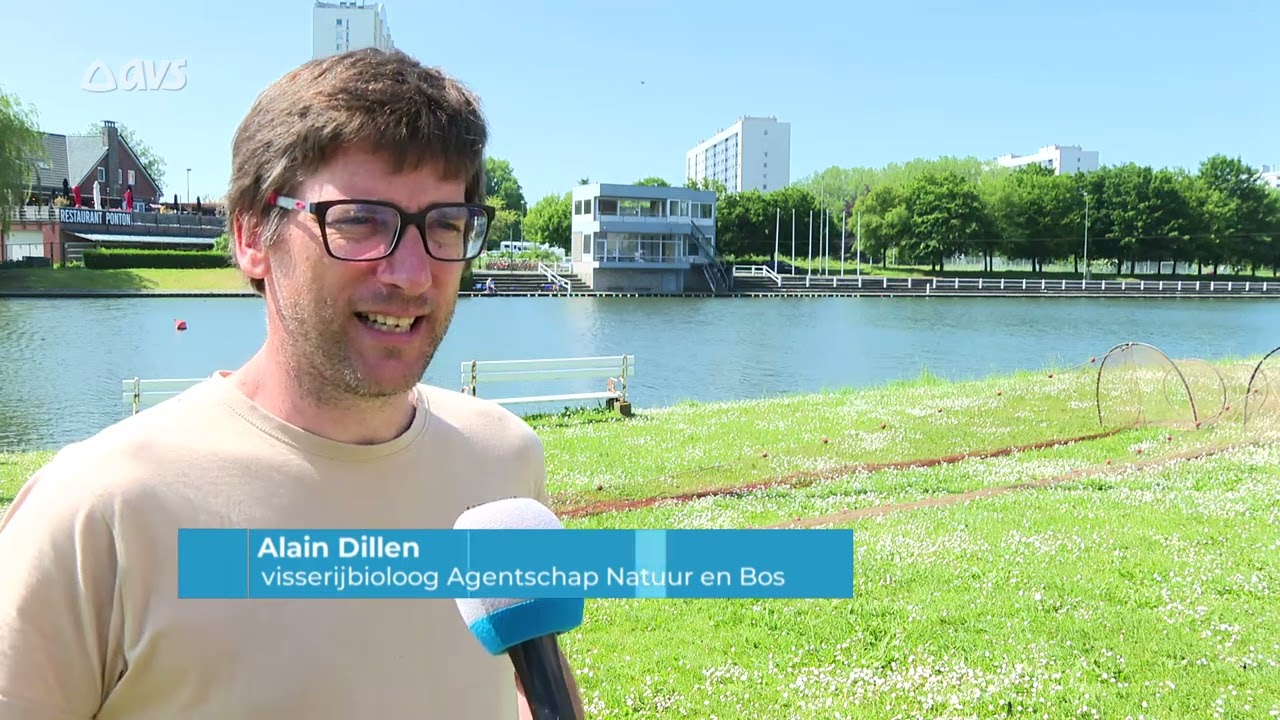 wat zwemt er in de Watersportbaan?