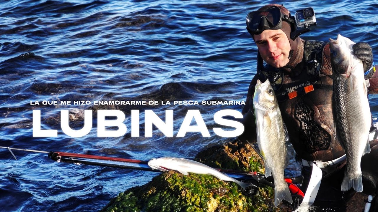 🔱LUBINAS EN POCA AGUA (4 M) !!🔱