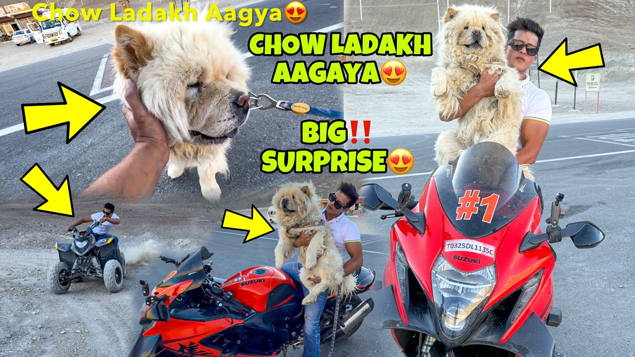 Chow Ladakh aagaya😍❤️ | Big Surprise in Ladakh | First Time ATV ride | Preparation for Ladakh Ride