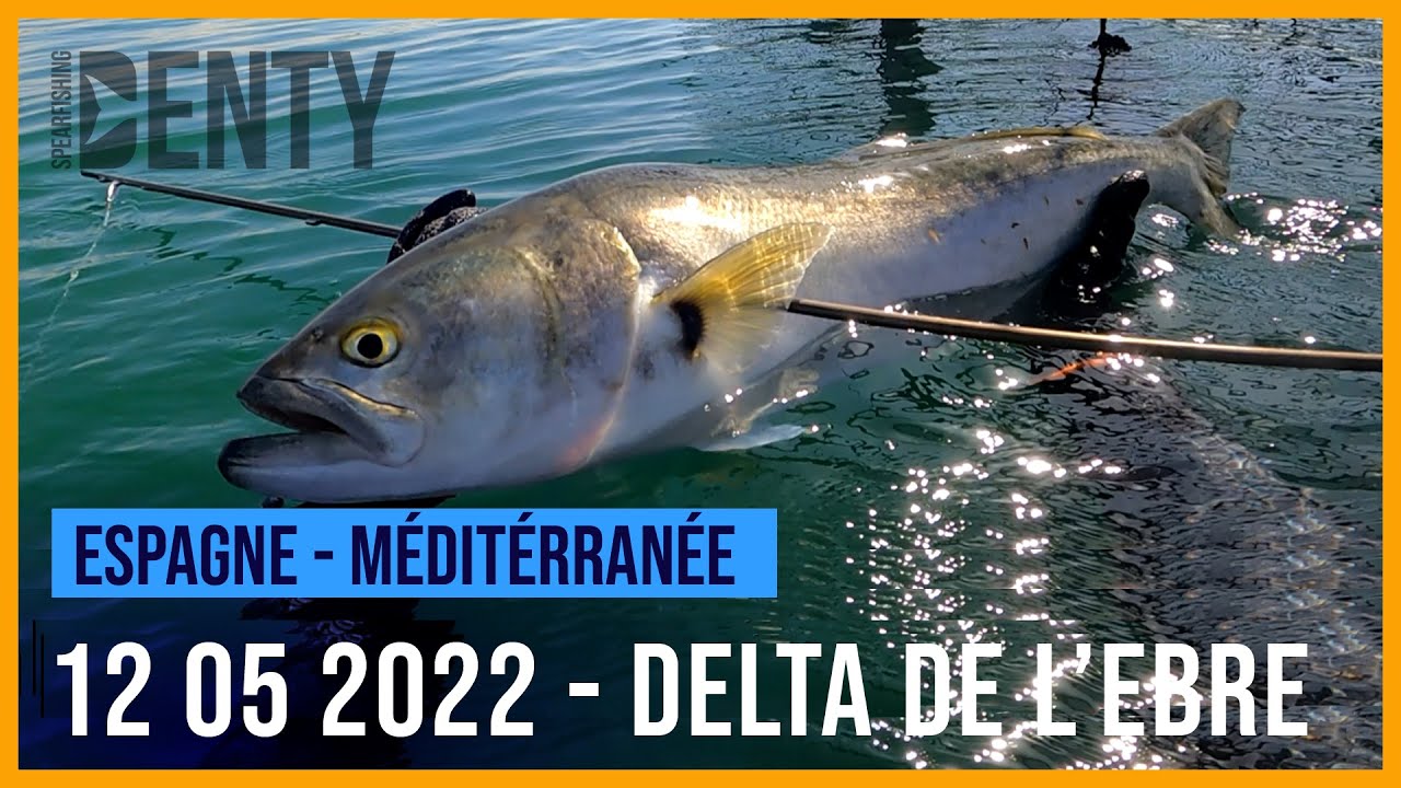 Chasse sous-marine dans le delta de l'EBRE 2022