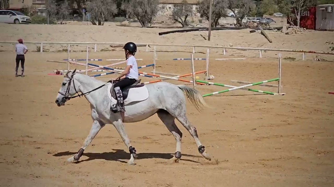 מופע סוסים 2025 שחר