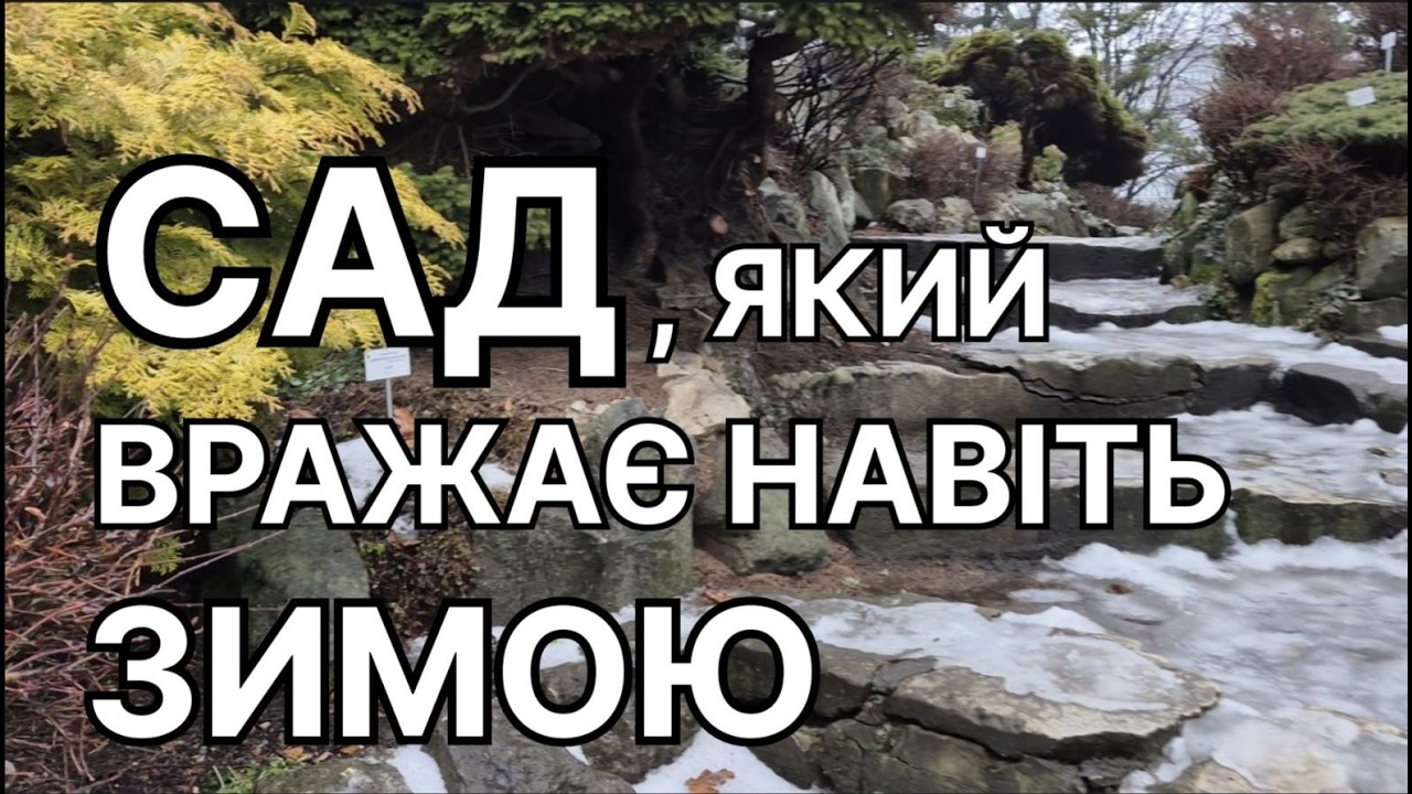 Цей сад ВРАЗИВ мене навіть ЗИМОЮ 🌿😍