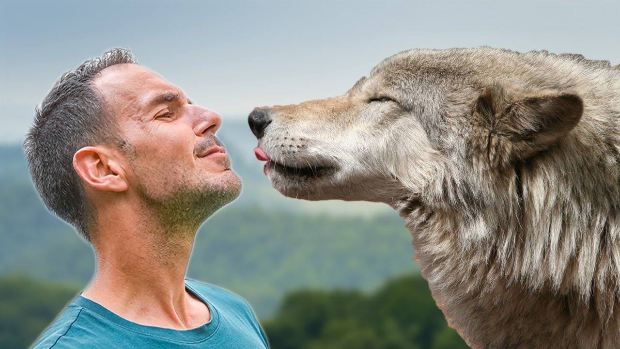 Živio sam 24 SATA sa MEDVJEDIMA I VUKOVIMA