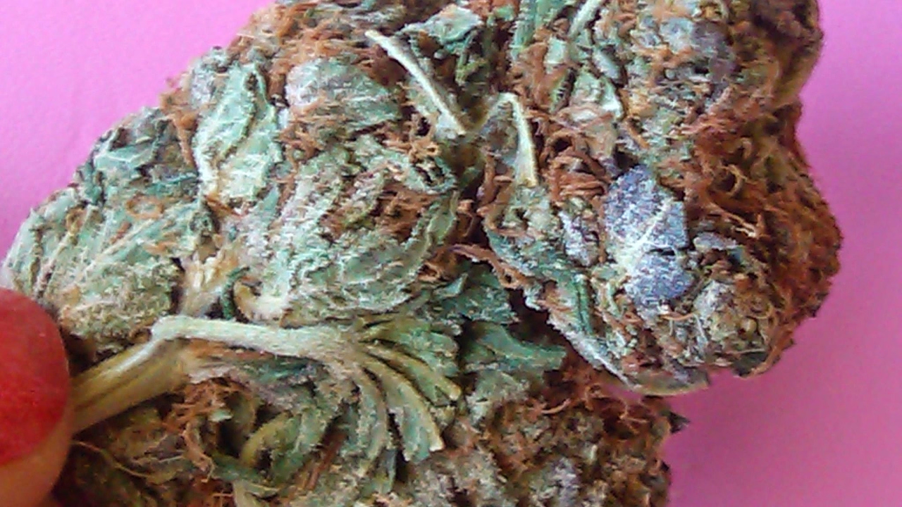 4:20 aM LIVE WAKE N BAKE WITH TASHA VEGAS*  CHEAP WEED IN LAS VEGAS? FROM VEGASCANNABISMAG.COM