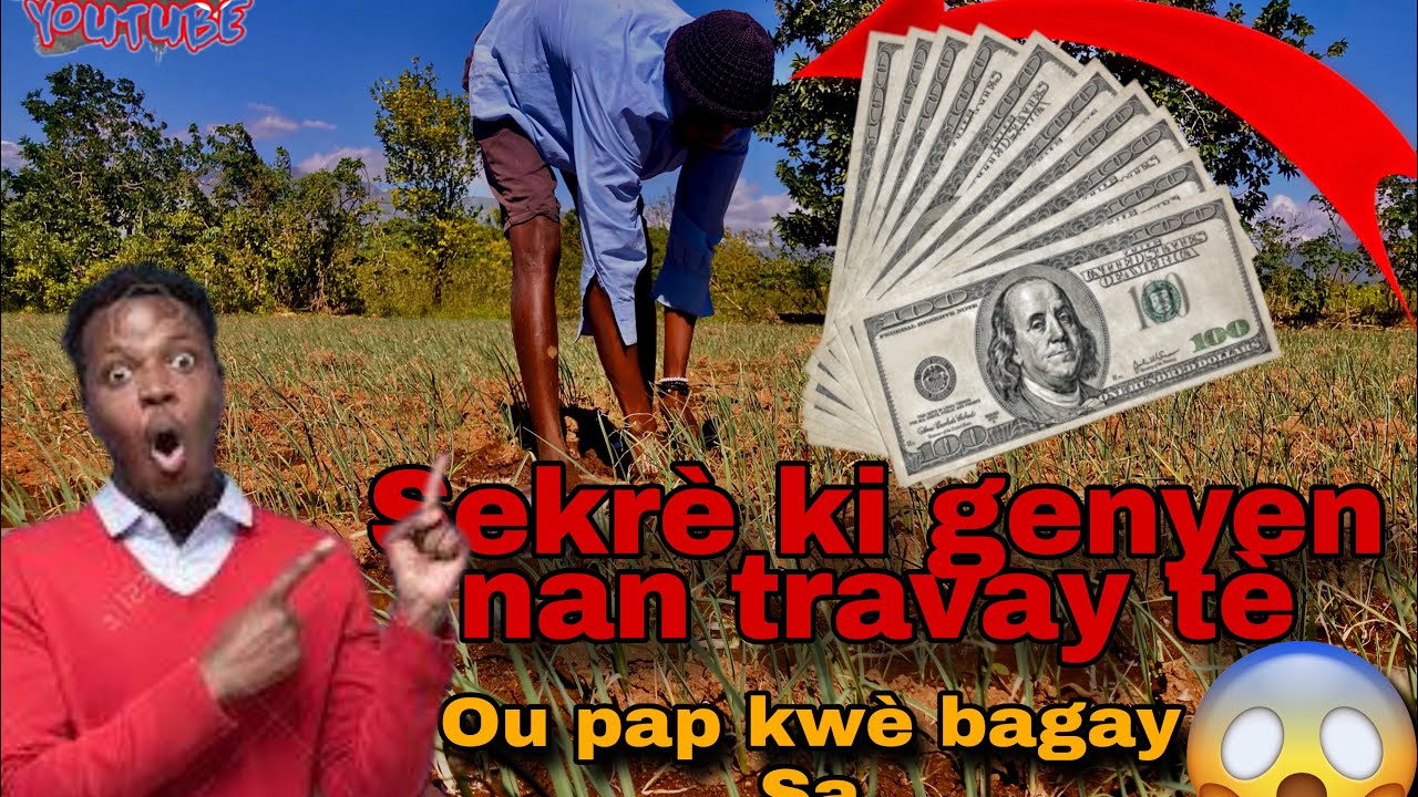 Men kijan agrikilti fè jèn sa soti nan mizè Agrikilti #Elvaj #Poyo #JènKiltivatè 
