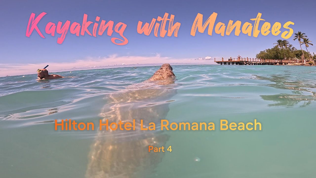 Kayaking with Manatees and snorkelling with some amazing and weird fish at the hotel beach.