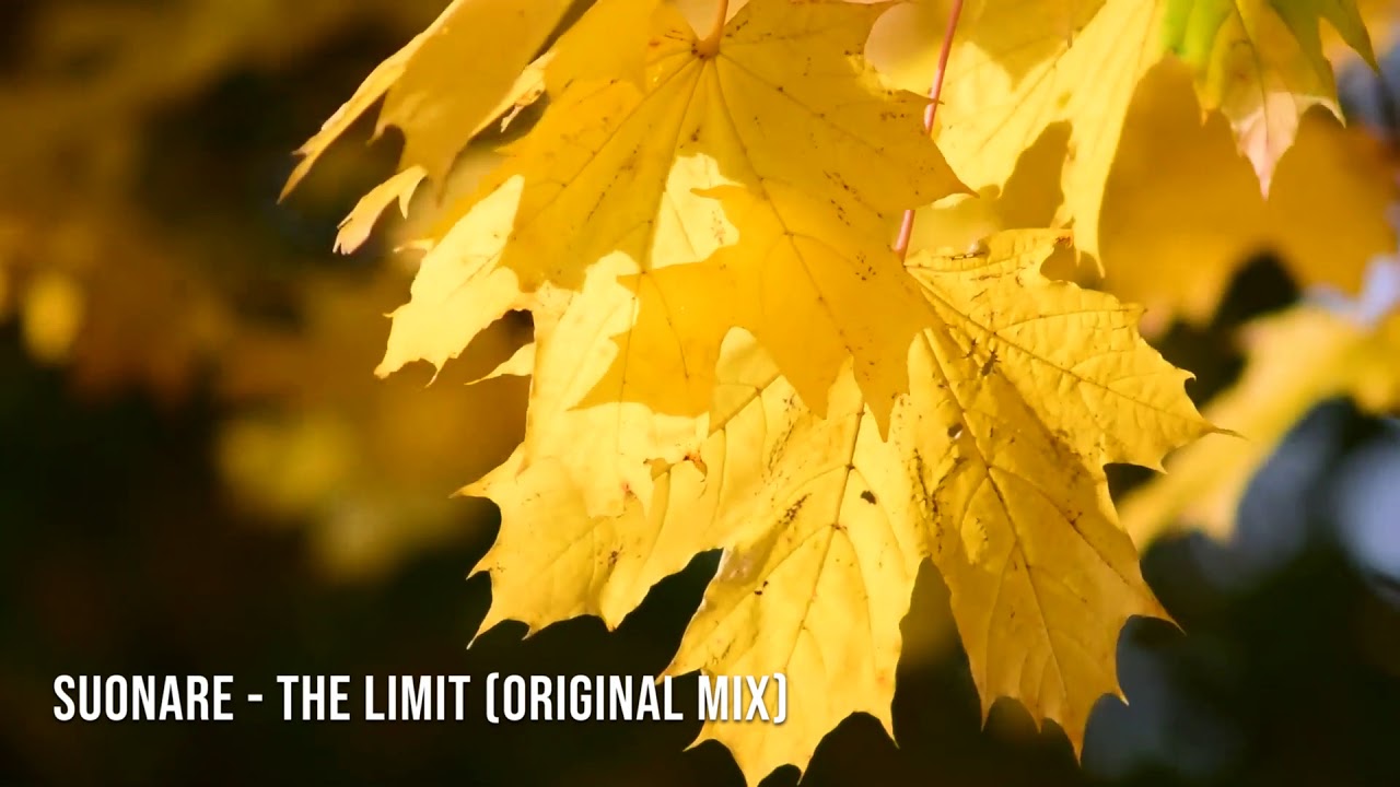 Suonare   The Limit
