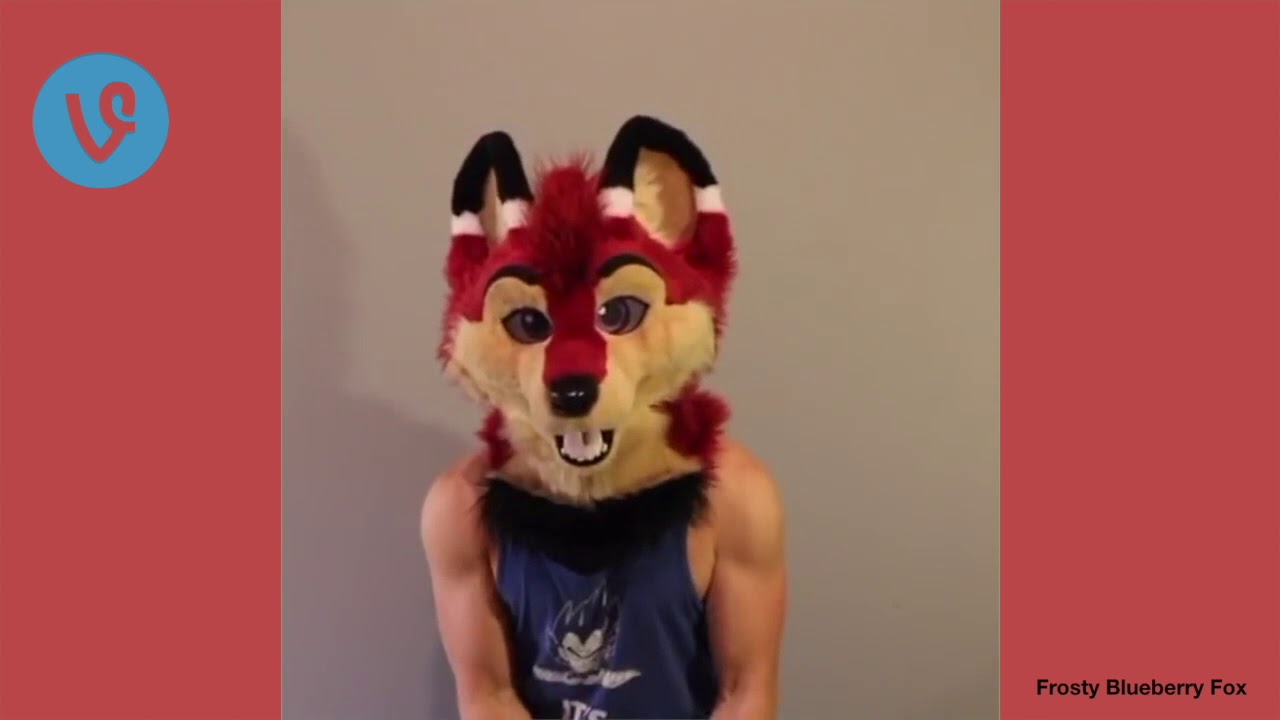 Furry Vine Compilation #4 100+ Vines 2017 ft Booker Fox, Telephone Majira Strawberry,