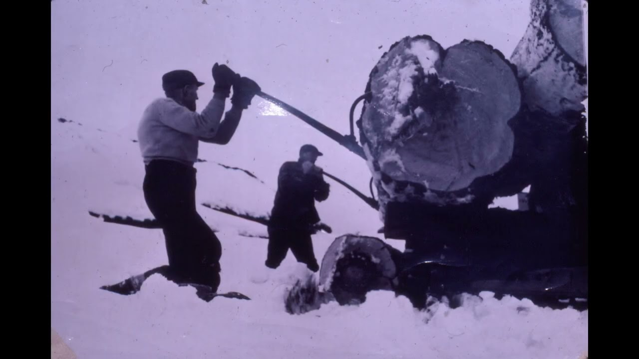 From Our Collection: Logging in Parry Sound
