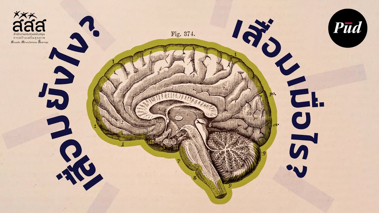 วิทยาศาสตร์ของการ “สมองเสื่อม”