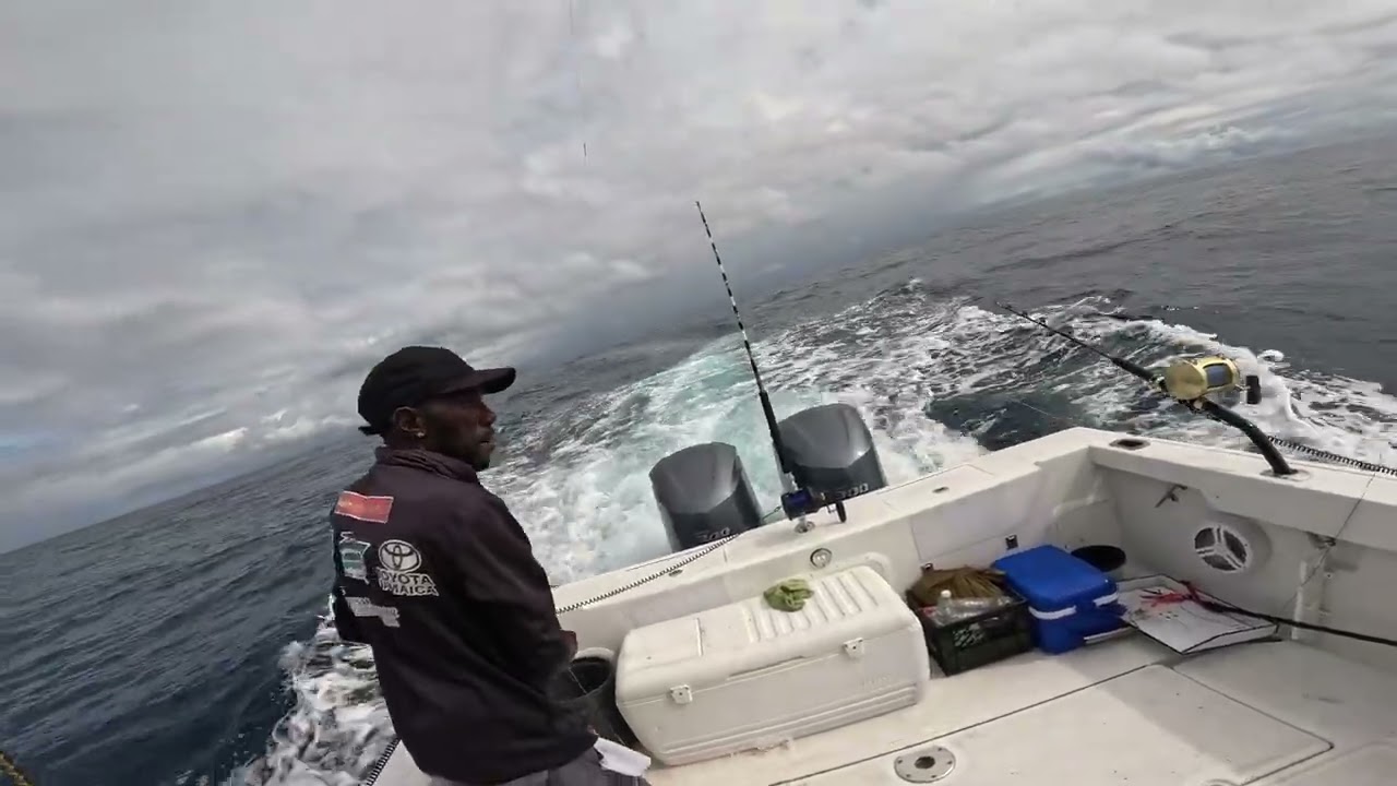 Monster wahoo and kingfish action.