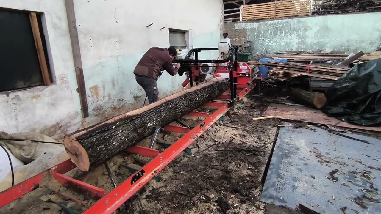 Woodmizer lx50 und Speierling