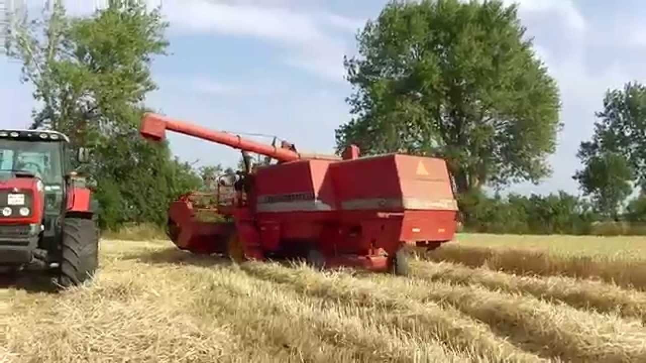 Massey Ferguson 525 i aktion
