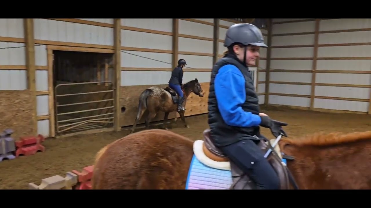 Jackson and Kennedy's Equine Affaire Entry Video