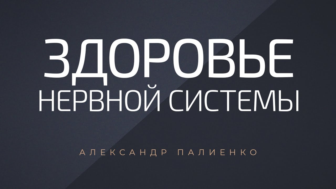 Здоровье нервной системы. Александр Палиенко.