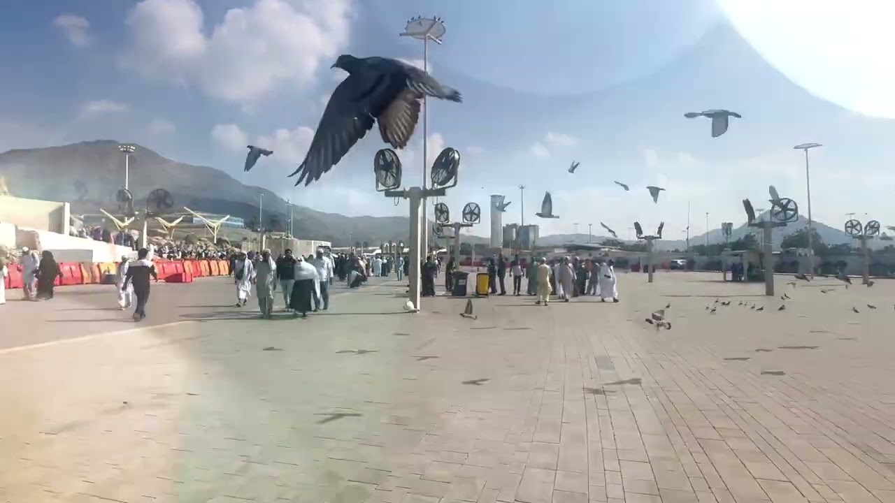 Medan-e-Arafat | Arafat Maidan Ziyarat | Hajj & Umrah History | Plain of Arafat 🌙🕋