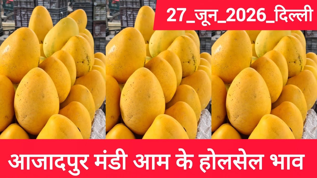 27 June 2026 दिल्ली 🥭 आम का भाव Azadpur Delhi Mandi Today Mango Market Price Aam Ka Aaj Ka Rate