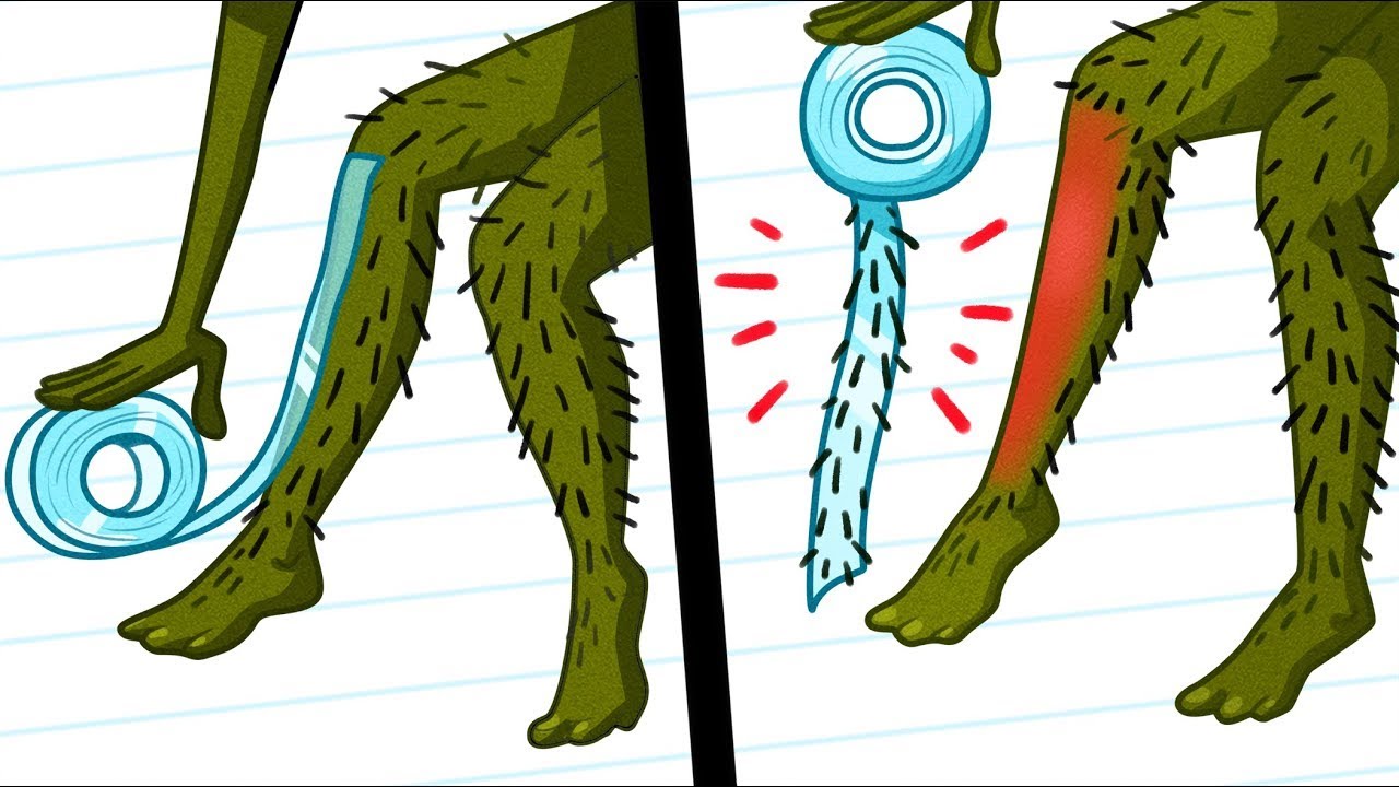 Les légumes essayent les astuces de 123 GO