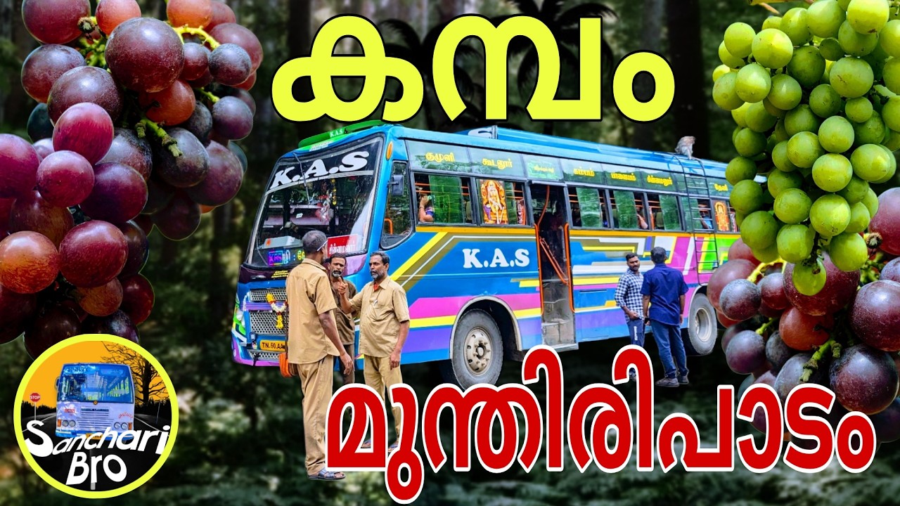 കമ്പത്തെ ❤️ കിടുക്കാച്ചി മുന്തിരി പാടം | Cumbum | Kumily | Bus Trip | Sanchari Bro | KAS Private Bus