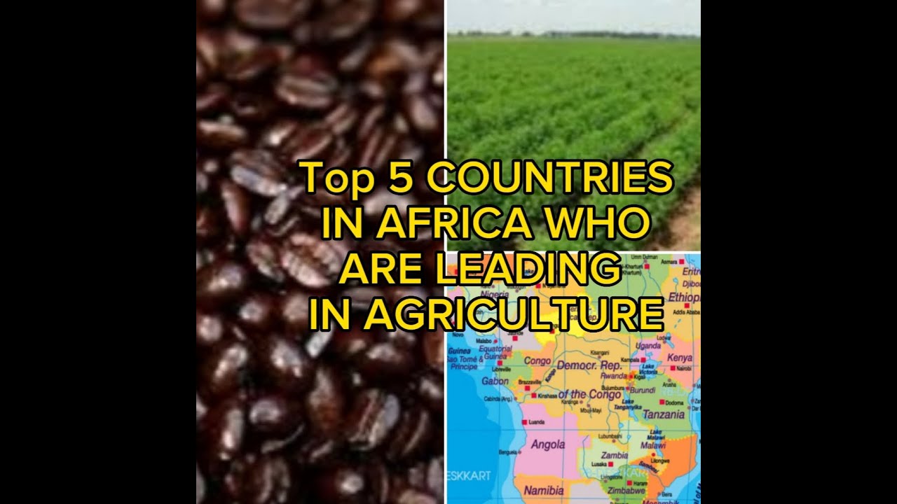 Top 5 Agriculture Giants in Africa