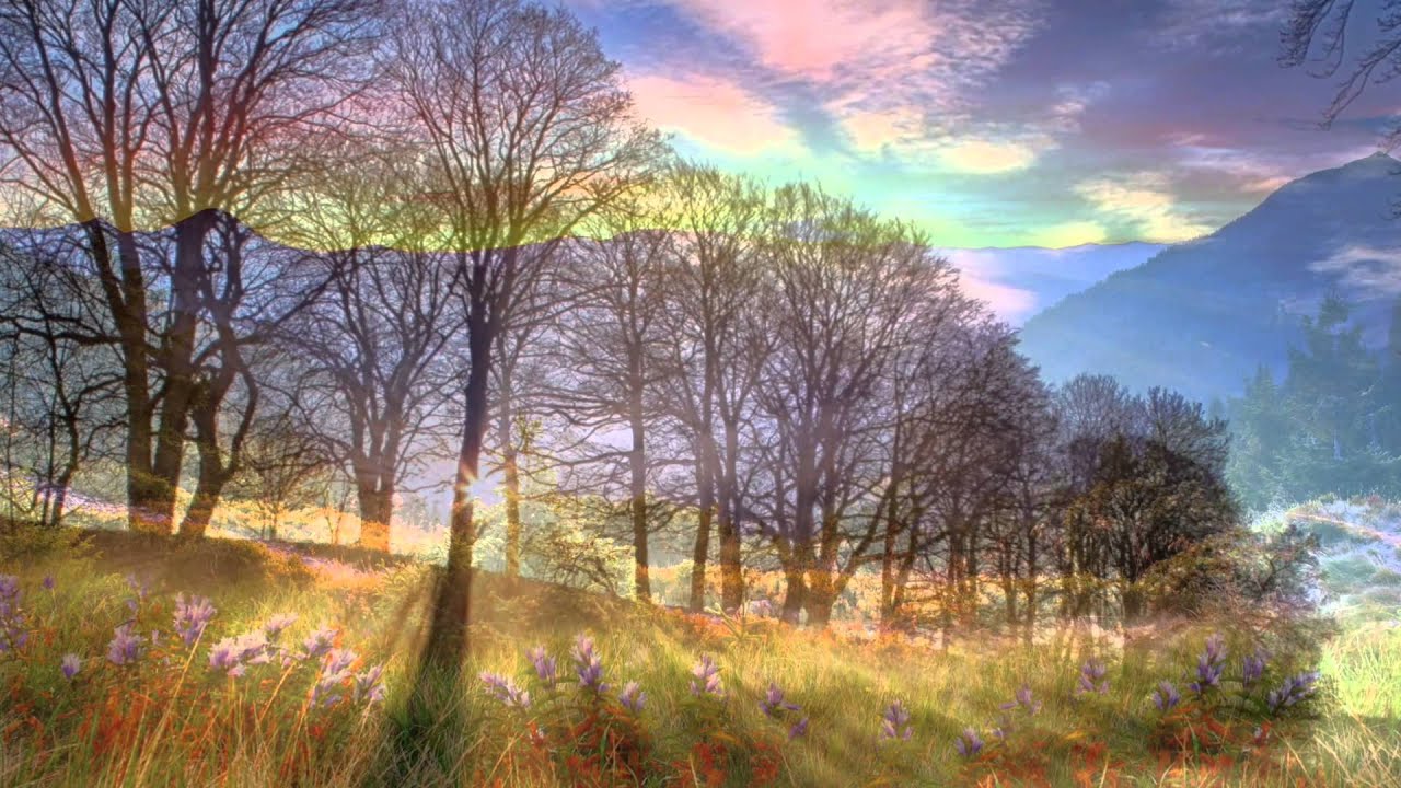 As steals the morn (Handel) Lucy Crowe & Mark Padmore