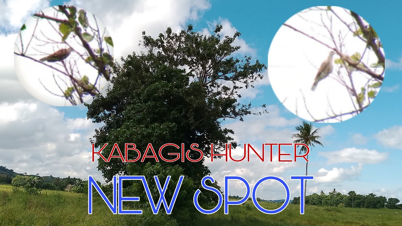 PCP AIRGUN HUNTING // NEW SPOT//JACKPOT #KABAGISHUNTER