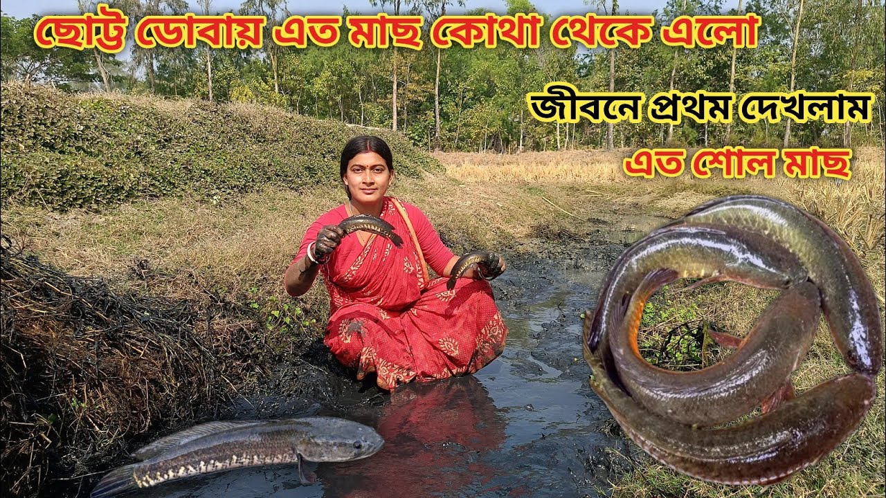 ছোট্ট ডোবায় এত মাছ কোথা থেকে এলো! জীবনে প্রথমবার এত শোল মাছ দেখলাম ll Nandita Sundarban life 
