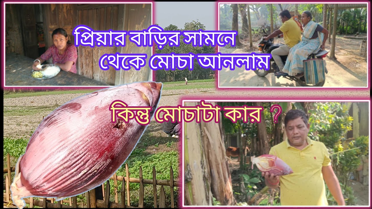 ।।।তিনটি বাচ্চা নিয়ে আমি আজ একা, মা ও ছেলে মিলে কোথায় গেলো ?।।।