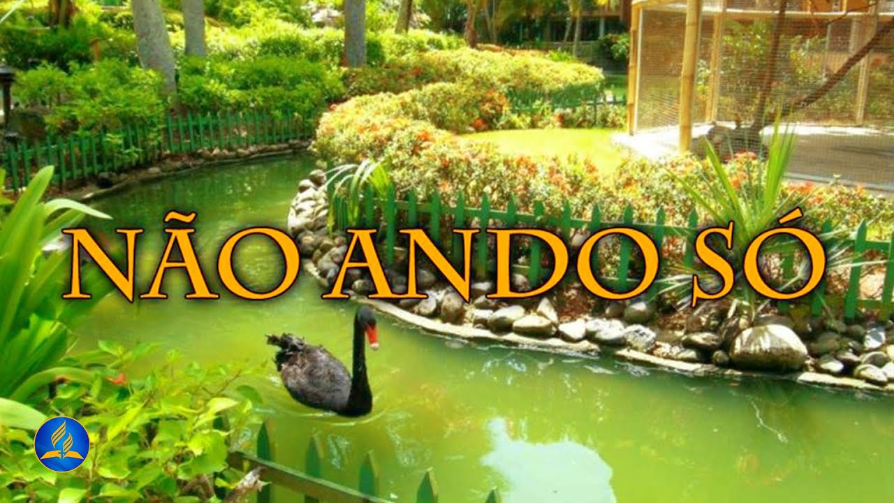 Hinário Adventista 382 - NÃO ANDO SÓ
