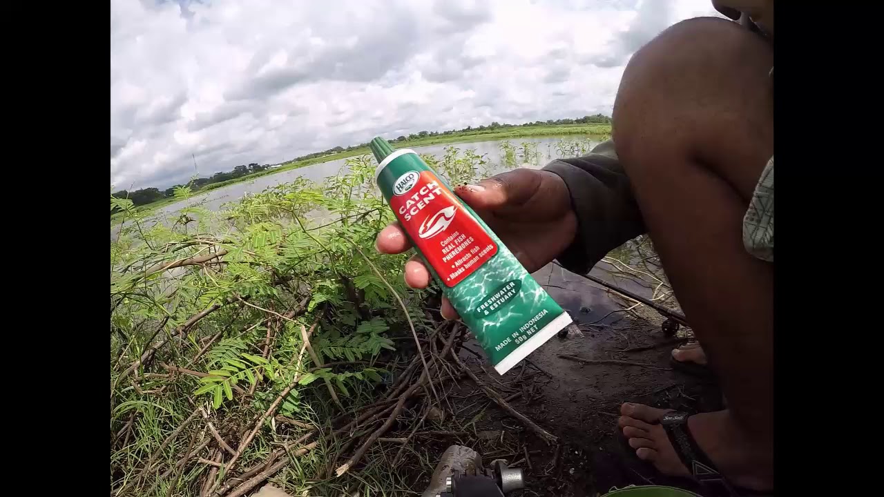 Uji Coba Halco Freshwater Di alam Liar
