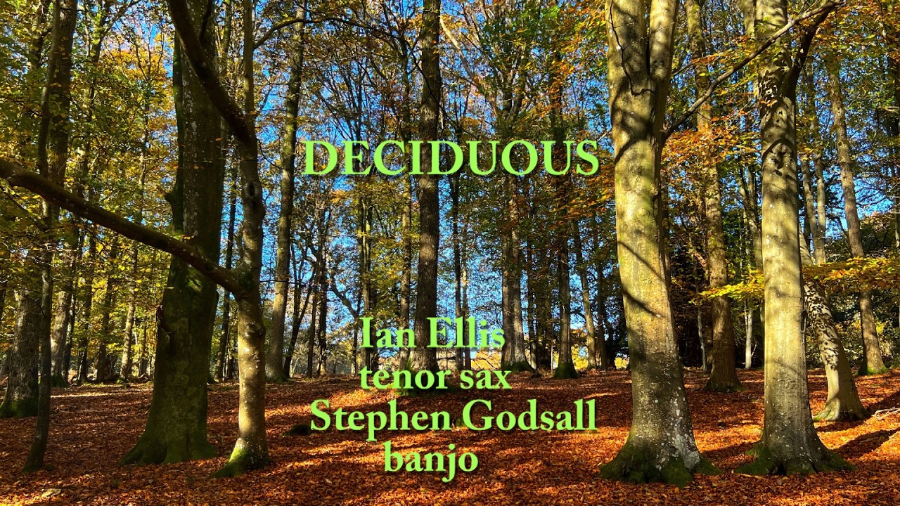 DECIDUOUS; duet for banjo and tenor sax