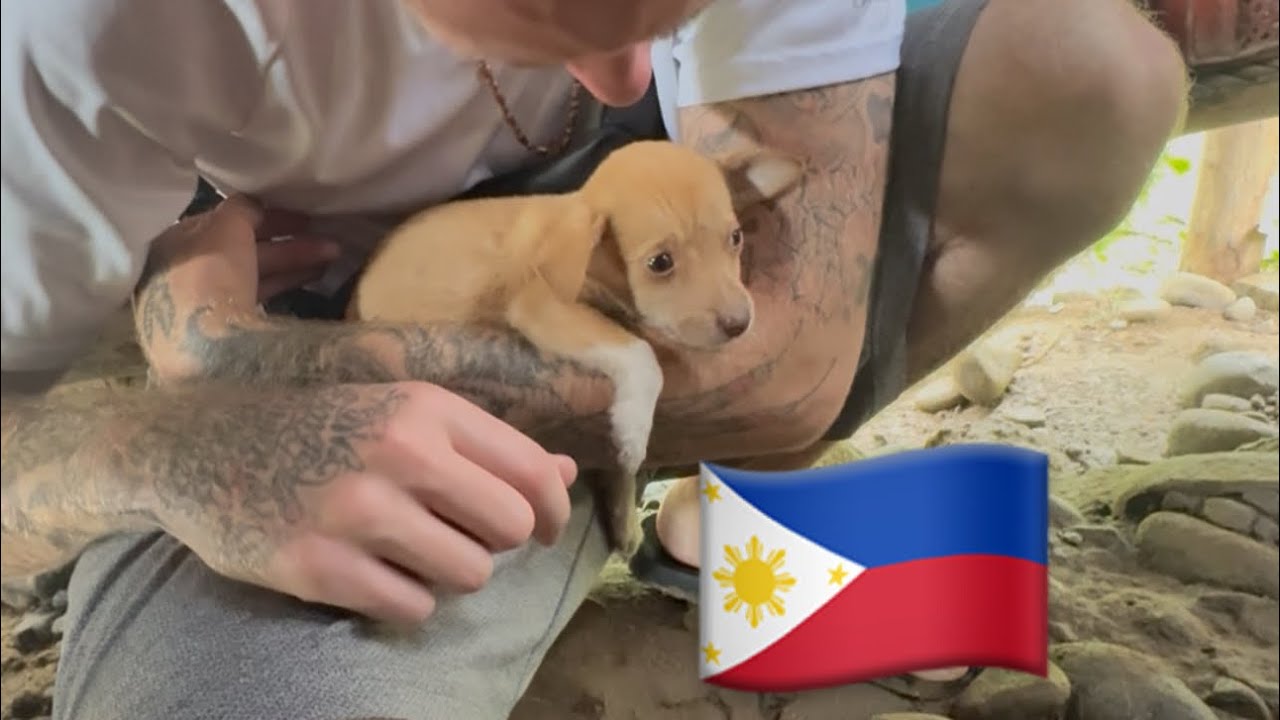🇵🇭 Philippines daily vlog we get a Puppy 🥹