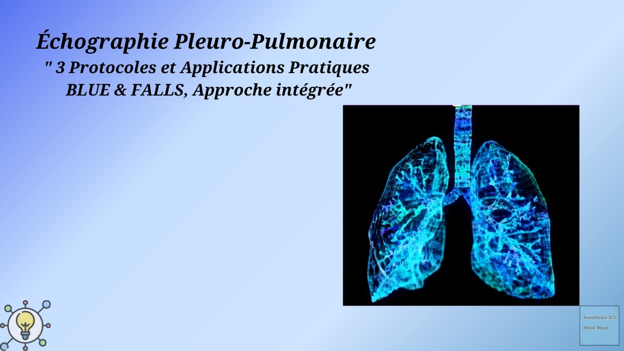 Échographie Pulmonaire #3  Protocoles et Applications Pratiques BLUE & FALLS, Approche intégrée)